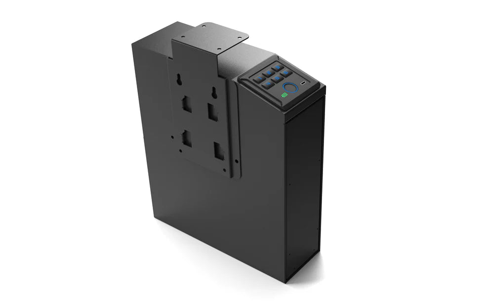 Portable Biometric Gun Safe Box